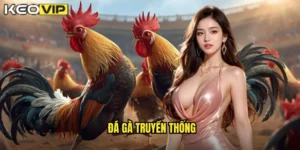 đá gà truyền thống