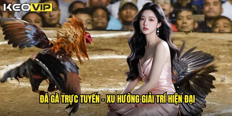 Đá Gà Trực Tuyến kèo nhà cái bg - Trải Nghiệm Đỉnh Cao Mọi Lúc Mọi Nơi 1 Đá gà trực tuyến - Xu hướng giải trí hiện đại
