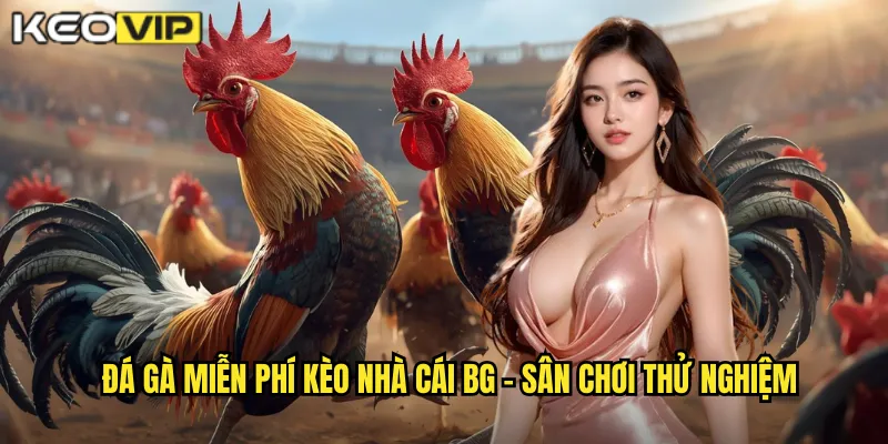 Đá Gà Miễn Phí kèo nhà cái bg - Trải Nghiệm Không Mất Phí Cho Newbie 1 Đá gà miễn phí kèo nhà cái bg - Sân chơi thử nghiệm