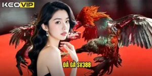 đá gà SV388