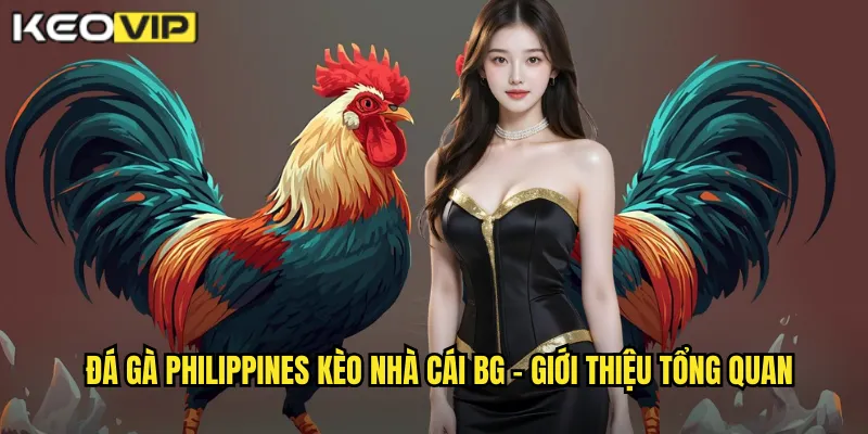 Đá Gà Philippines kèo nhà cái bg - Trải Nghiệm Truyền Thống Sabong Đích Thực 1 Đá gà Philippines kèo nhà cái bg - Giới thiệu tổng quan