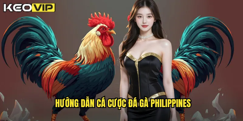 Đá Gà Philippines kèo nhà cái bg - Trải Nghiệm Truyền Thống Sabong Đích Thực 2 Hướng dẫn cá cược đá gà Philippines