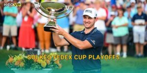 FedEx Cup Playoffs Đỉnh Cao – Soi Kèo FedEx Cup Playoffs Kèo Nhà Cái Nhận Định Cuối Mùa