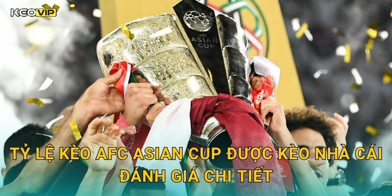 Tỷ Lệ Kèo AFC Asian Cup Được Kèo Nhà Cái Đánh Giá Chi Tiết