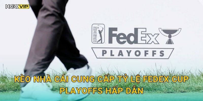 Kèo Nhà Cái Cung Cấp Tỷ Lệ FedEx Cup Playoffs Hấp Dẫn