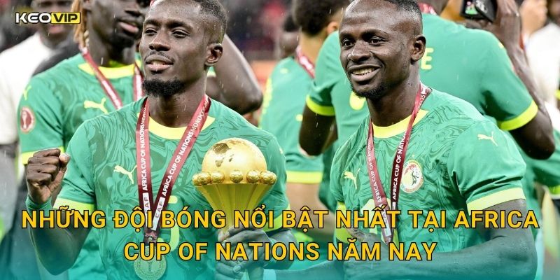 Những Đội Bóng Nổi Bật Nhất Tại Africa Cup of Nations Năm Nay