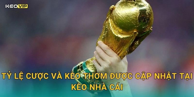 Tỷ Lệ Cược Và Kèo Thơm Được Cập Nhật Tại Kèo Nhà Cái