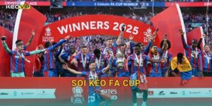 FA Cup Hấp Dẫn Không Ngờ – Soi Kèo FA Cup Kèo Nhà Cái Phân Tích Mới Nhất
