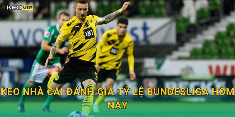 Bundesliga Sôi Động – Soi Kèo Bundesliga Kèo Nhà Cái Cập Nhật Trận Đấu Cuối Tuần 2 Kèo Nhà Cái Đánh Giá Tỷ Lệ Bundesliga Hôm Nay
